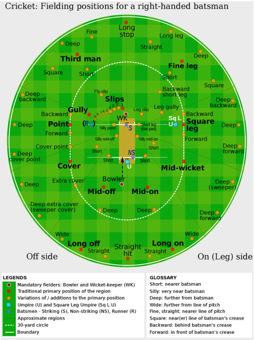 fielding positions in cricket